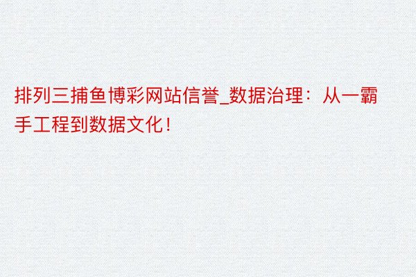 排列三捕鱼博彩网站信誉_数据治理：从一霸手工程到数据文化！