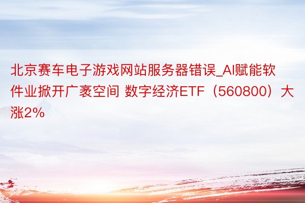 北京赛车电子游戏网站服务器错误_AI赋能软件业掀开广袤空间 数字经济ETF（560800）大涨2%