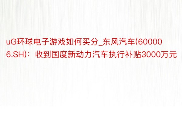 uG环球电子游戏如何买分_东风汽车(600006.SH)：收到国度新动力汽车执行补贴3000万元
